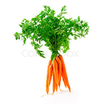 carrots